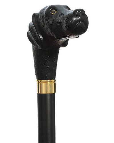 Scout, The Black Lab Walking Cane