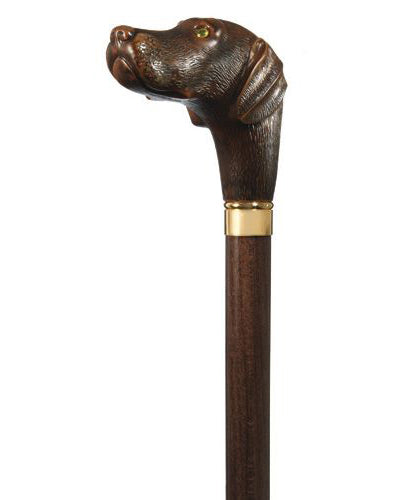 Brownie the Chocolate Lab Cane