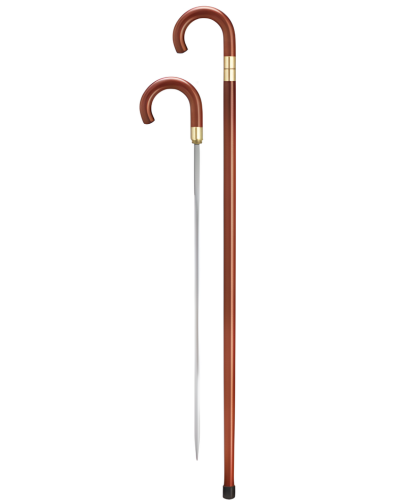 Collector's Sword Cane